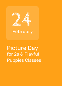 May 16 Last Day for Early Care, After Care, and Extended Day Programs